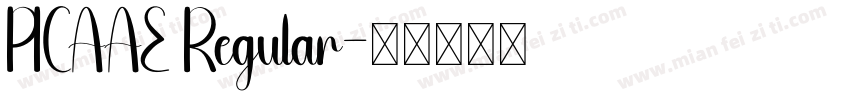 PICAAE Regular字体转换
